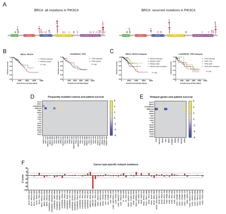 Figure 1—figure supplement 4.