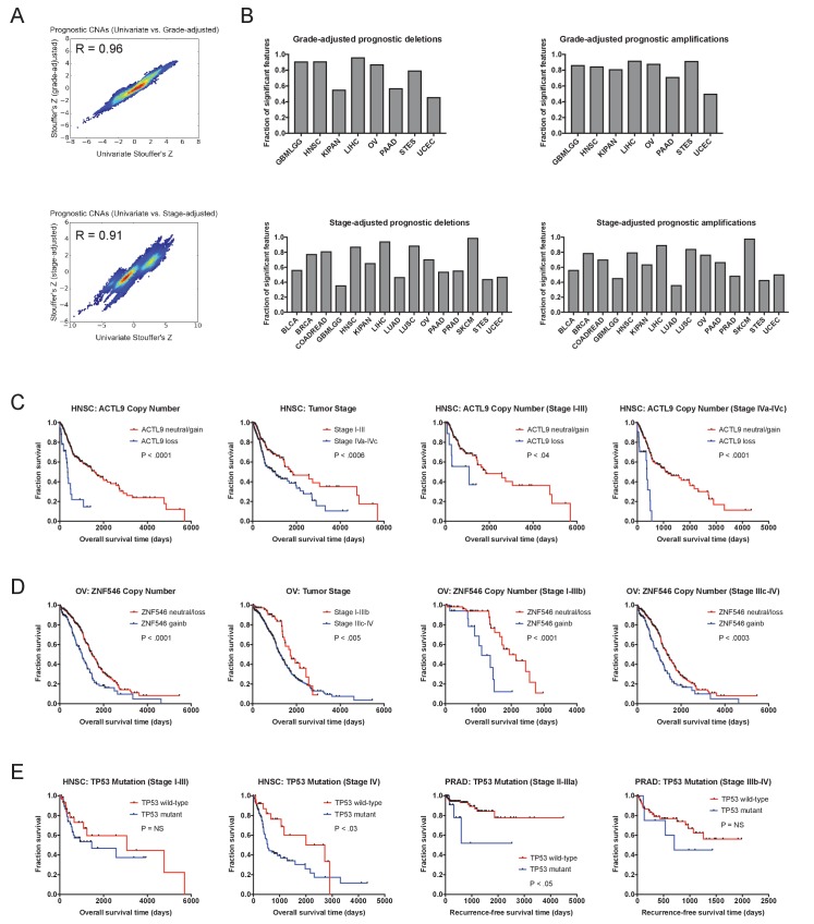 Figure 2—figure supplement 3.