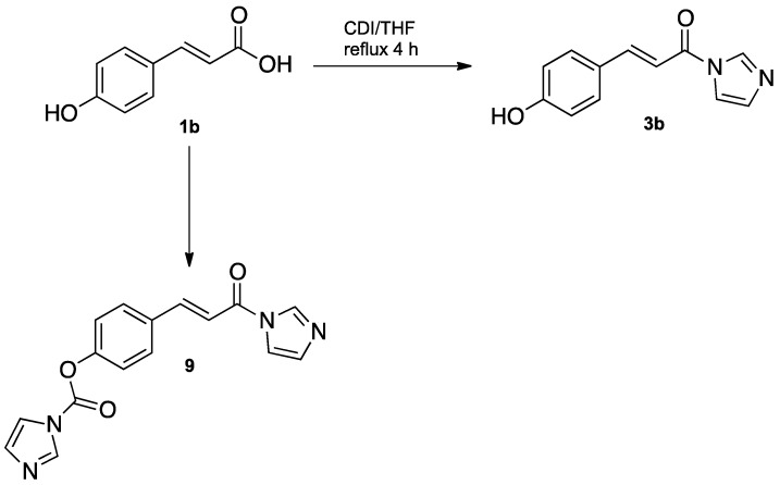 Scheme 2