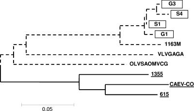 FIG. 7.