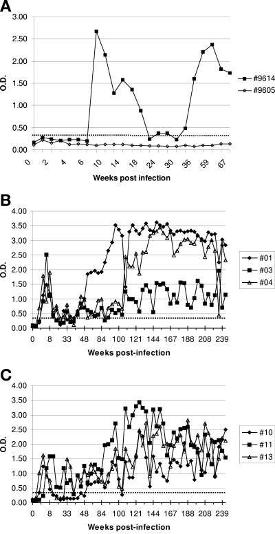 FIG. 2.