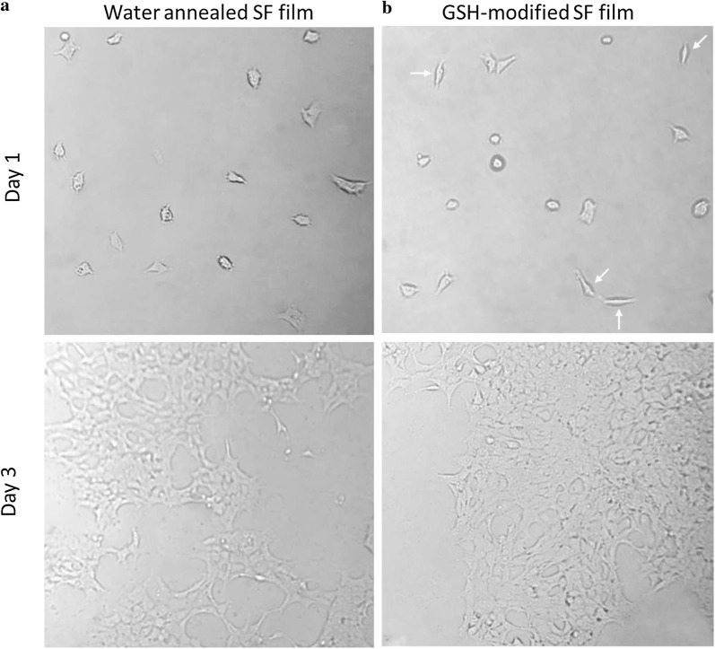 Fig. 9