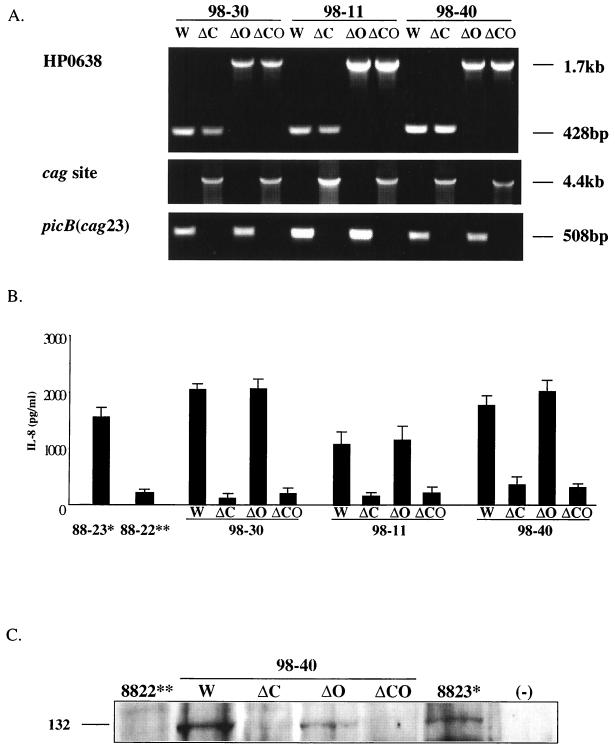 FIG. 3.