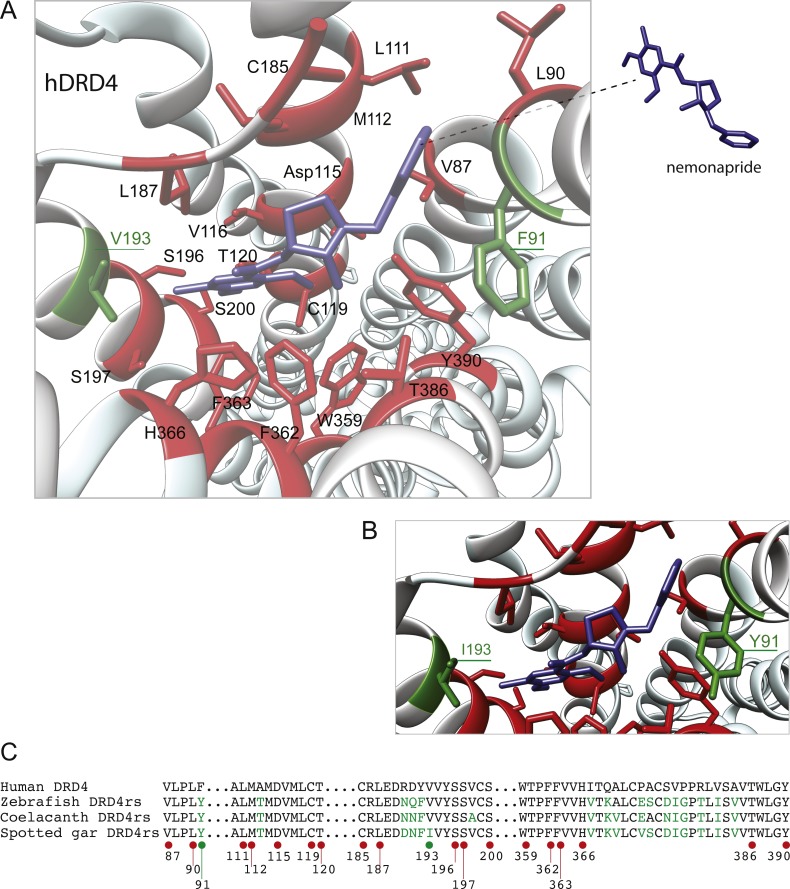 Figure 9