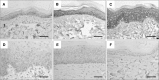 Fig. 9