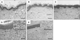 Fig. 10