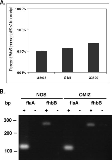 FIG. 3.