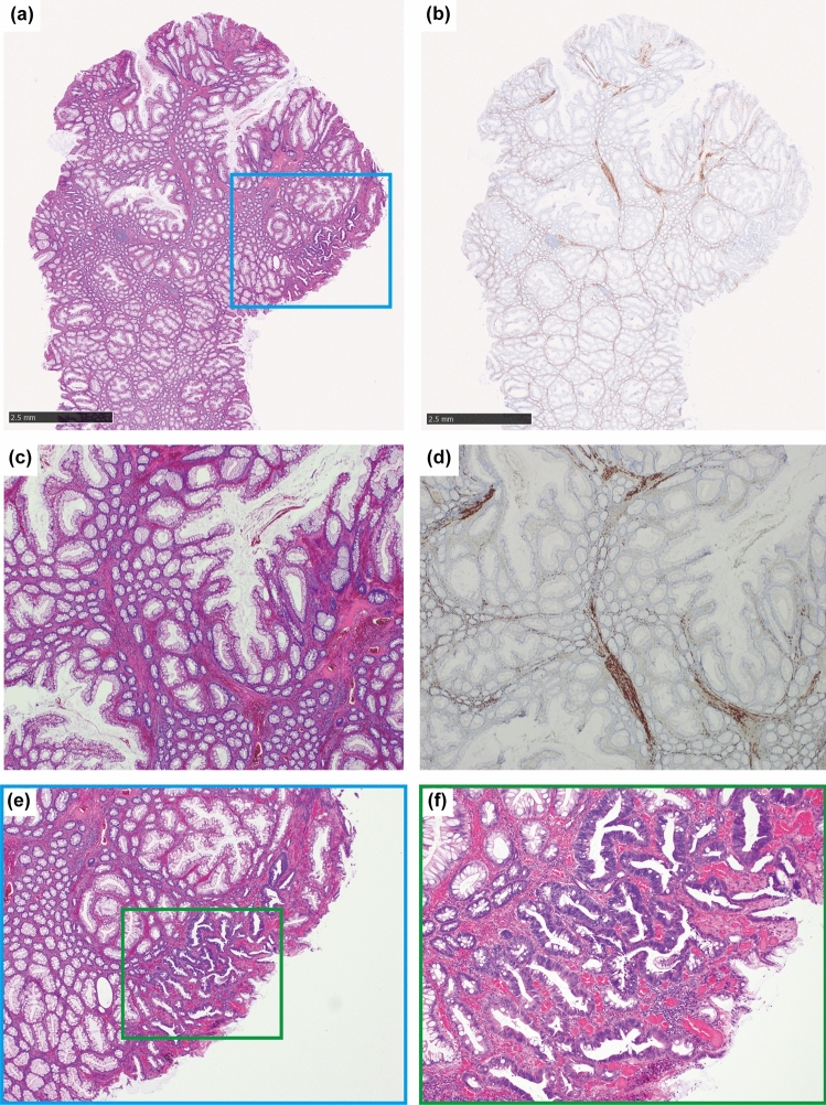 Fig. 3