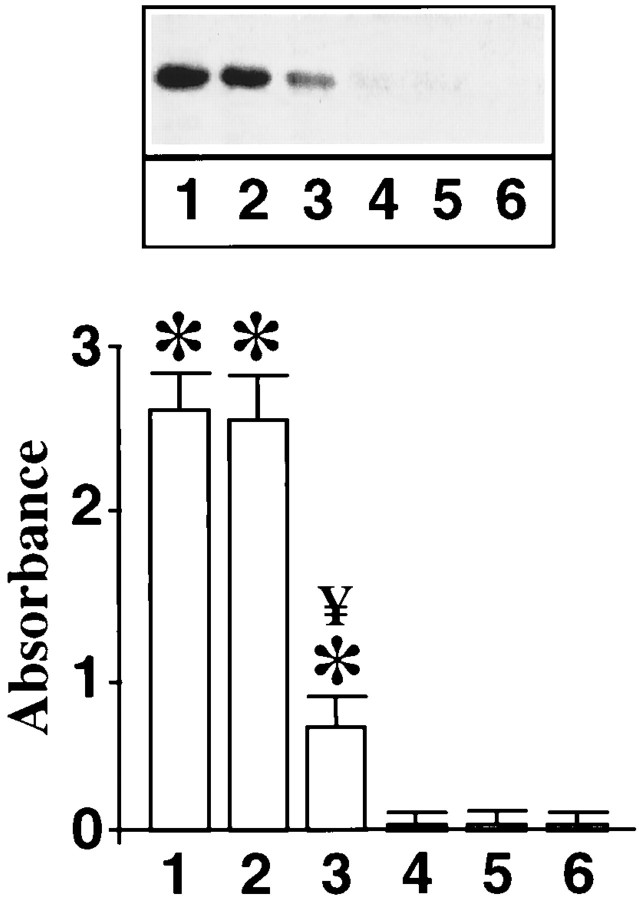 Fig. 10.