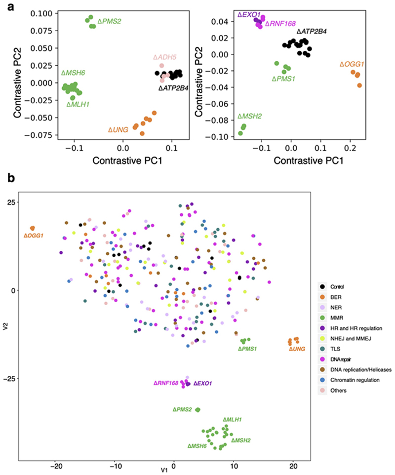 Extended Data Fig. 3