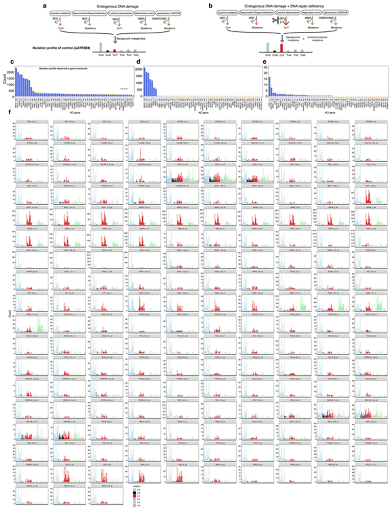 Extended Data Fig. 2