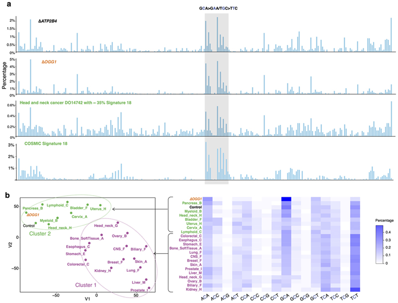 Extended Data Fig. 4