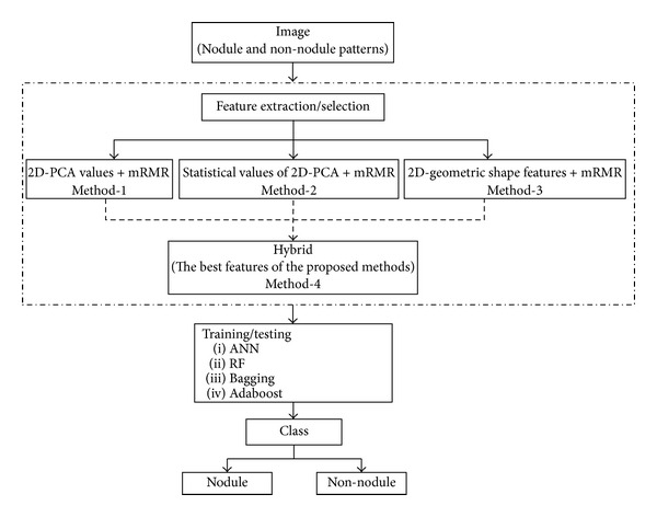 Figure 6