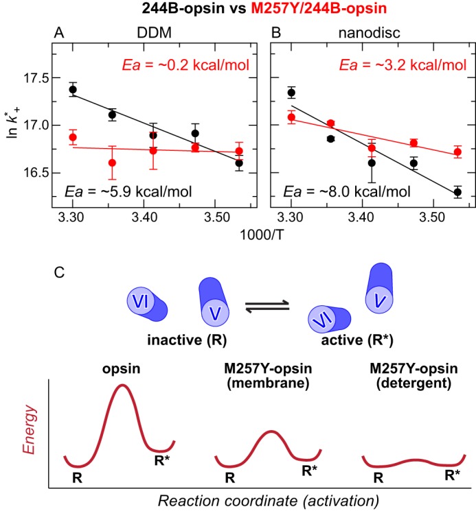 FIGURE 7.