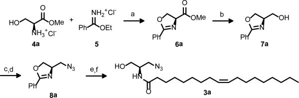 Scheme 1