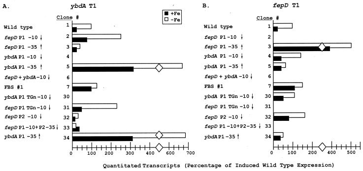 FIG. 6