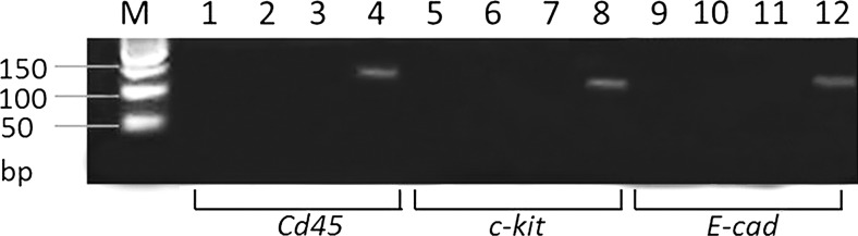 FIG. 8.