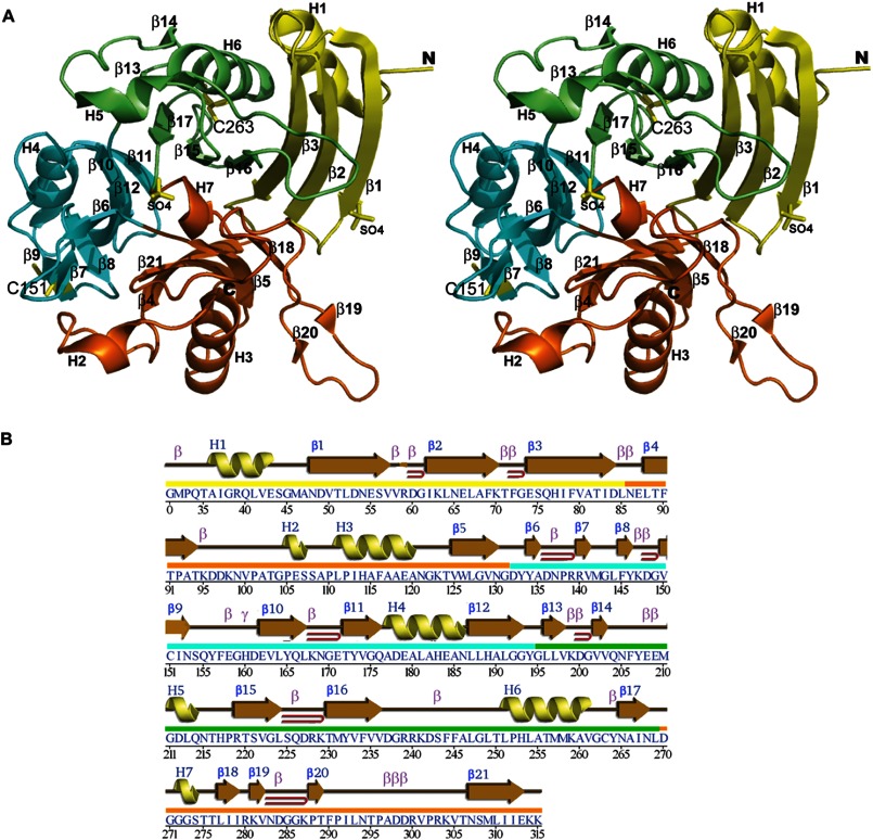 FIGURE 1.