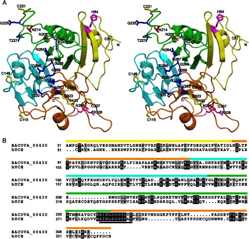 FIGURE 3.