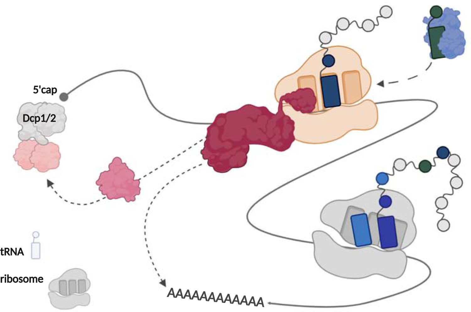 Figure 1: