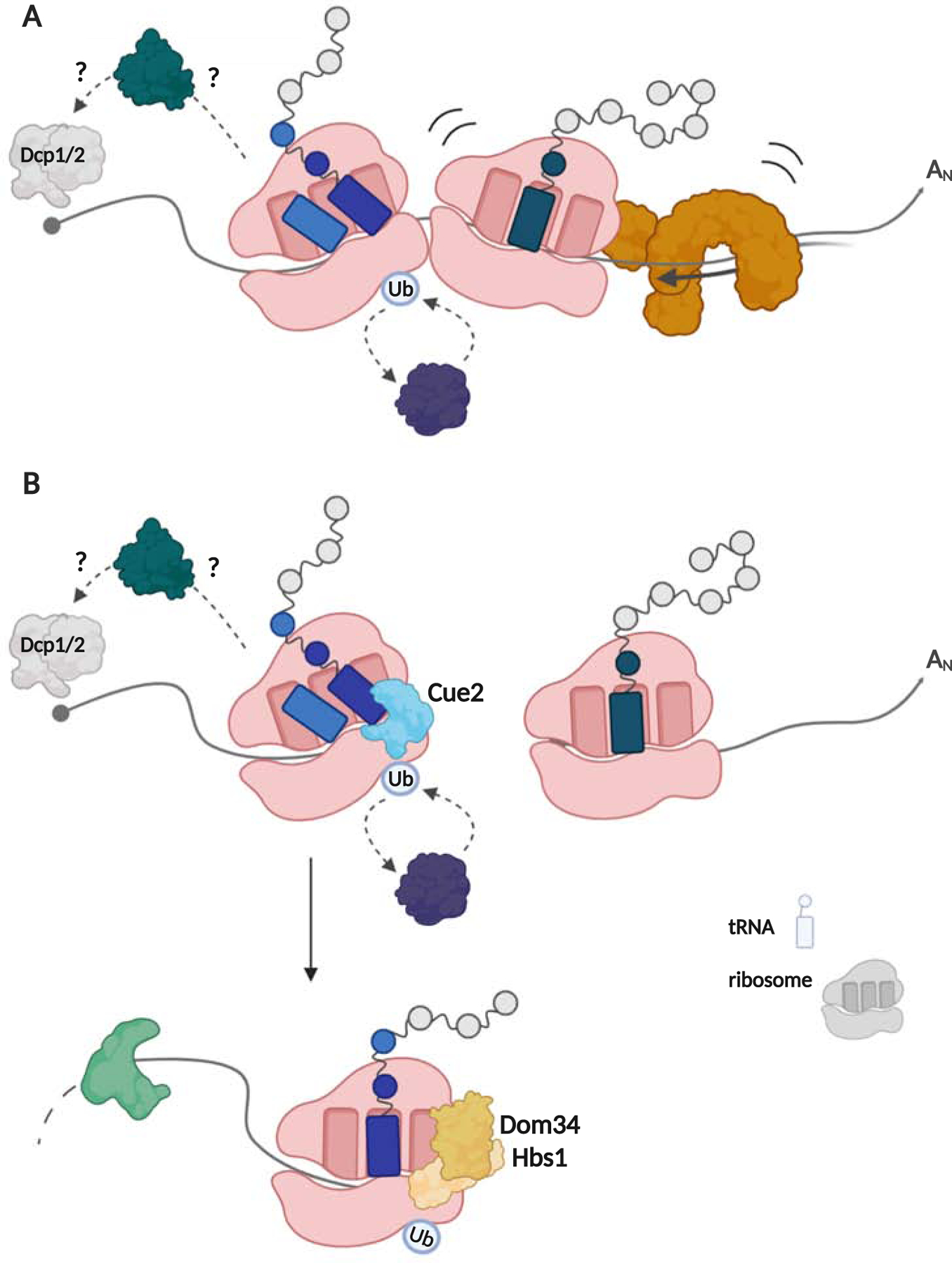 Figure 2: