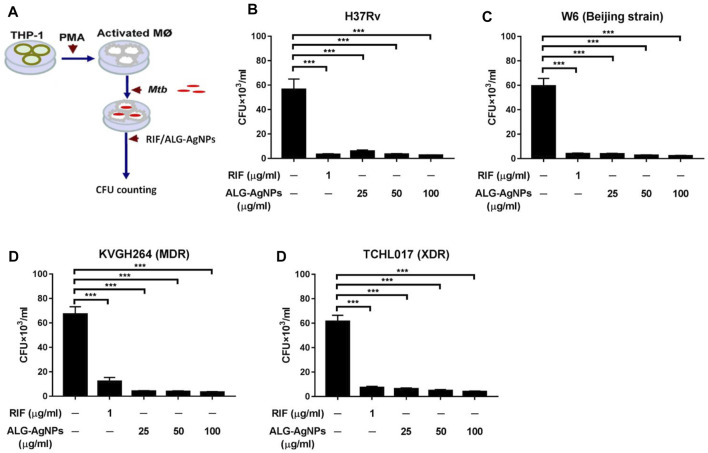 FIGURE 4