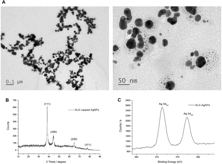 FIGURE 1