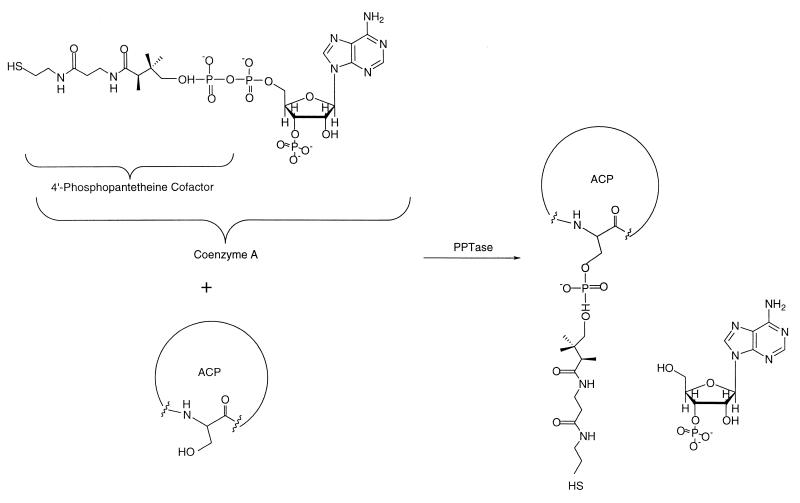 FIG. 7