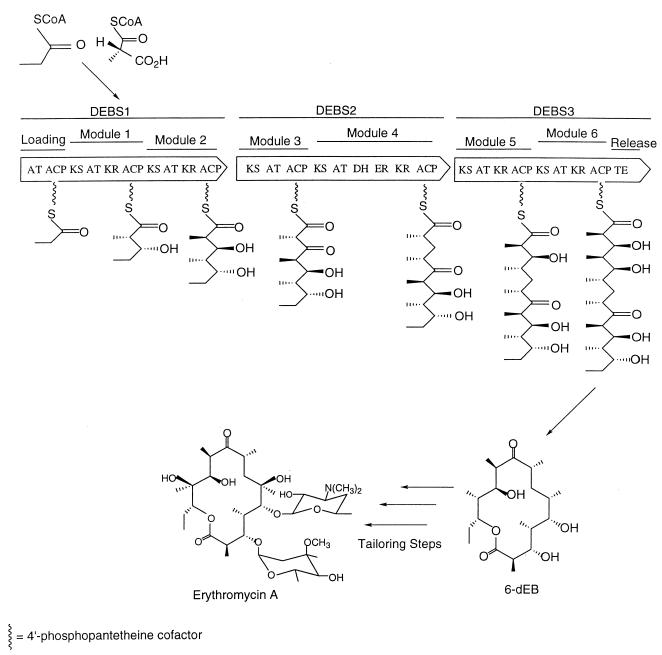 FIG. 6