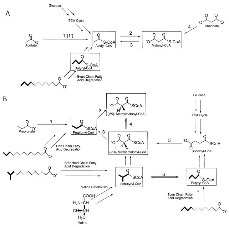 FIG. 8