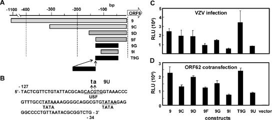 FIG. 2.