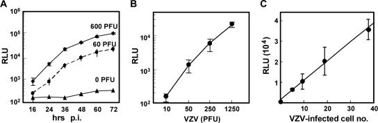 FIG. 3.