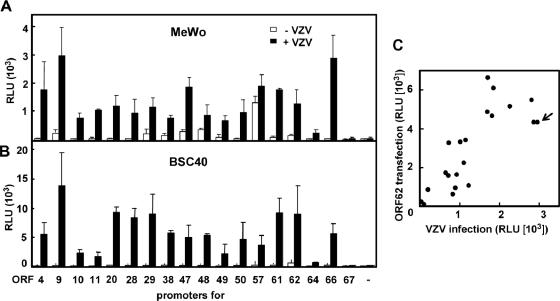 FIG. 1.