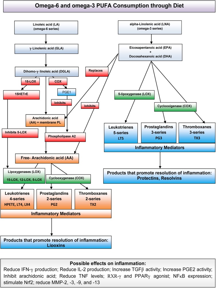 Figure 1