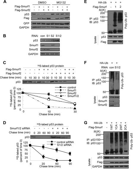 FIGURE 1.