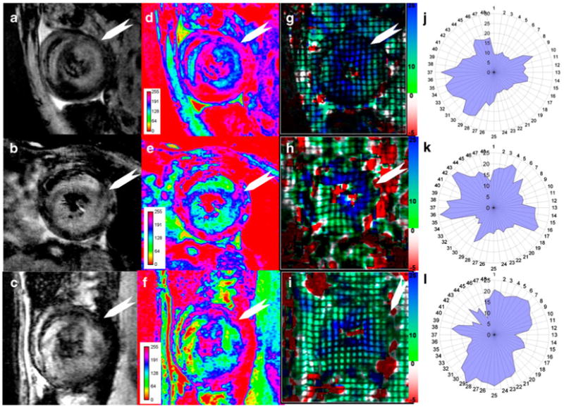 Fig. 10