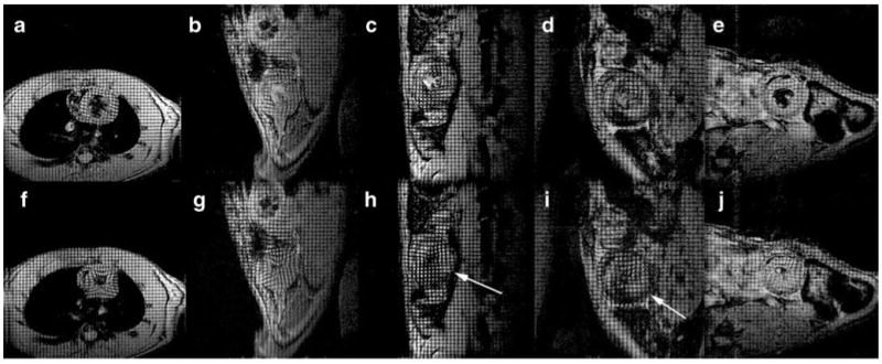 Fig. 9