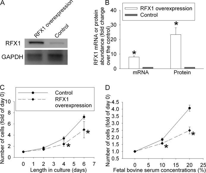 FIGURE 1.