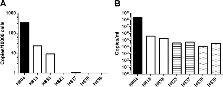 FIG 6