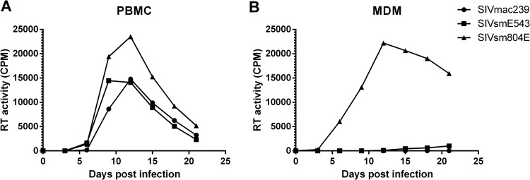 FIG 2