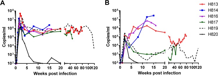 FIG 3