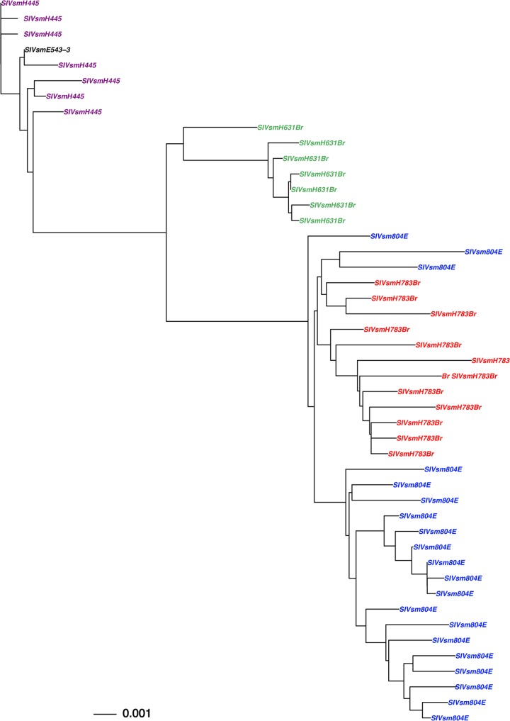 FIG 1