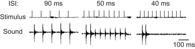 Fig. 5.