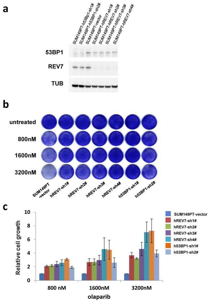 Extended Data Figure 2