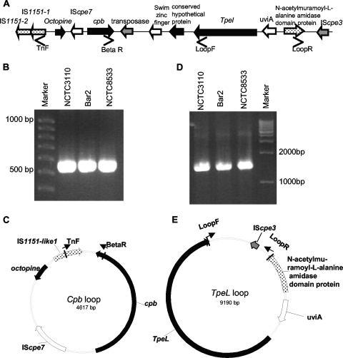 FIG. 7.