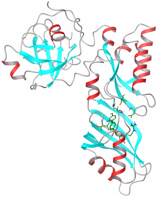 Figure 1