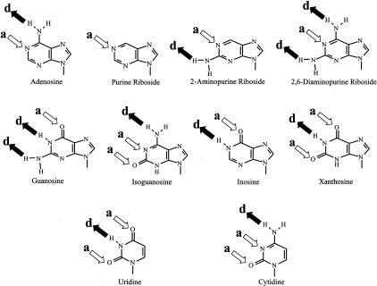 FIGURE 4.