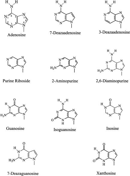 FIGURE 1.