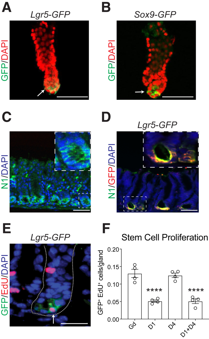 Figure 6