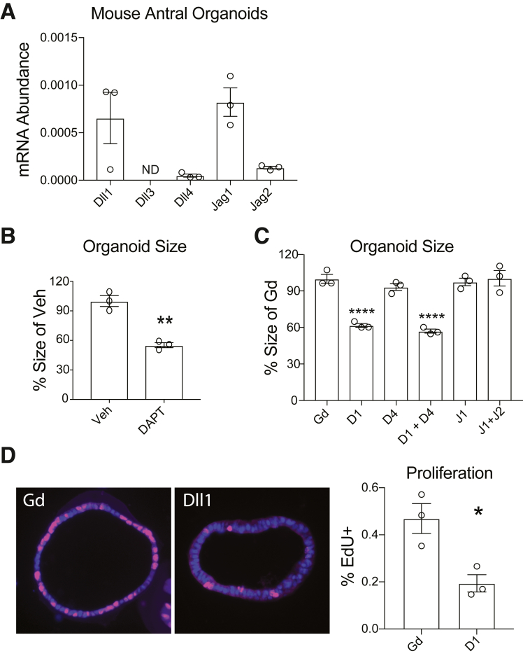 Figure 5